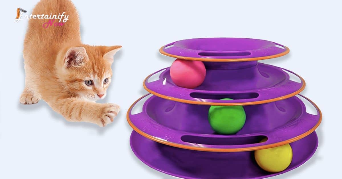 how-to-entertain-a-cat-that-doesn-t-like-toys-by-interactive-puzzle-feeders