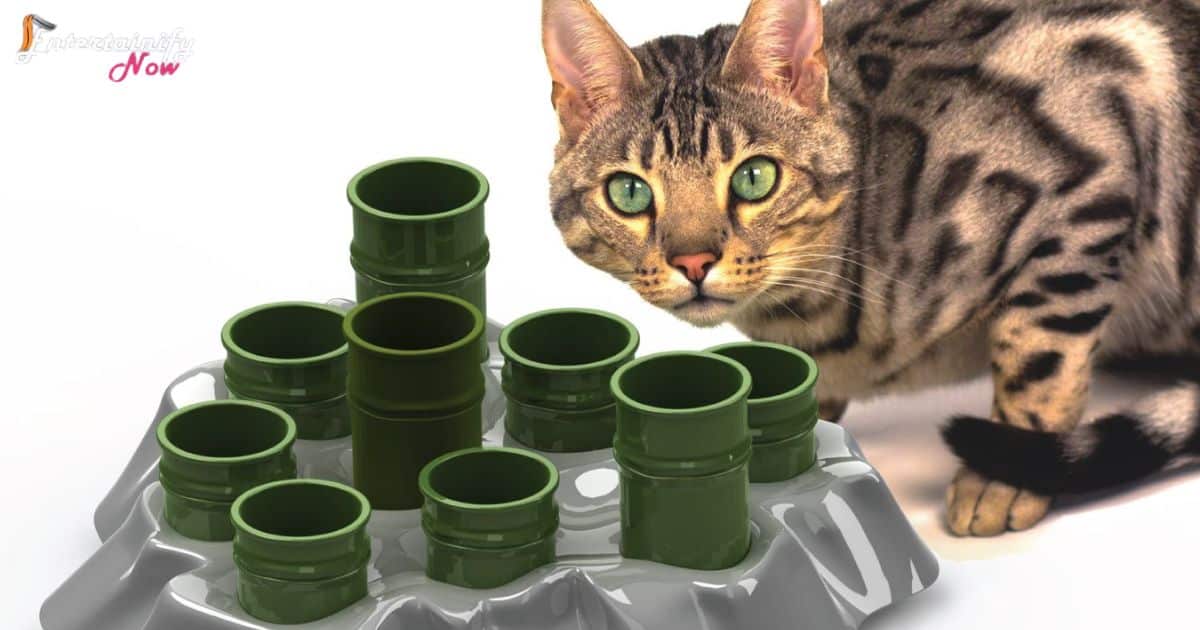 how-to-entertain-a-cat-that-doesnt-like-toys-by-stimulating-puzzle-feeders