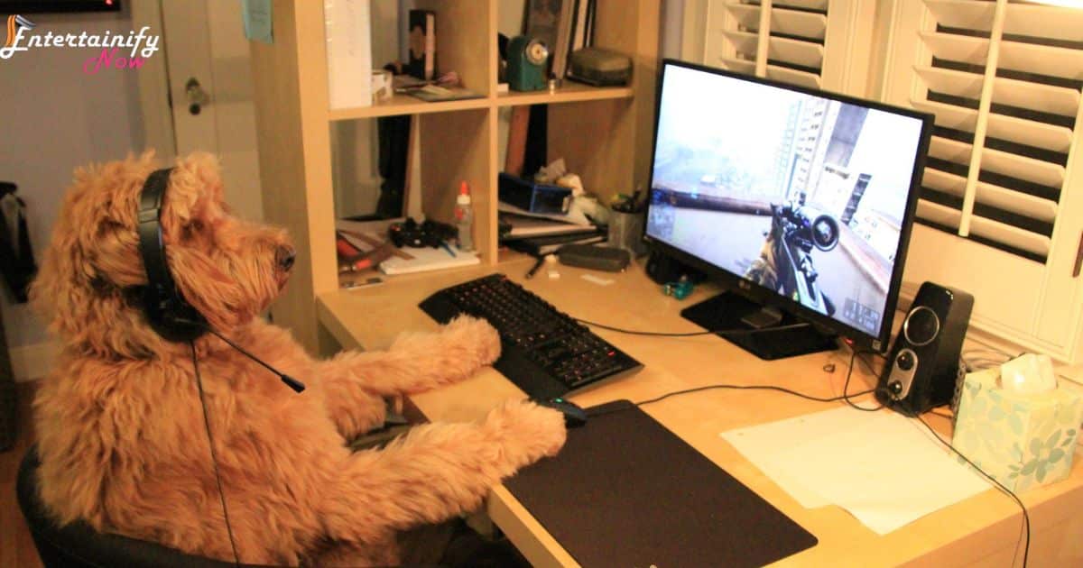how-to-entertain-my-dog-while-i-work-by-set-up-a-doggy-playdate-via-video-call