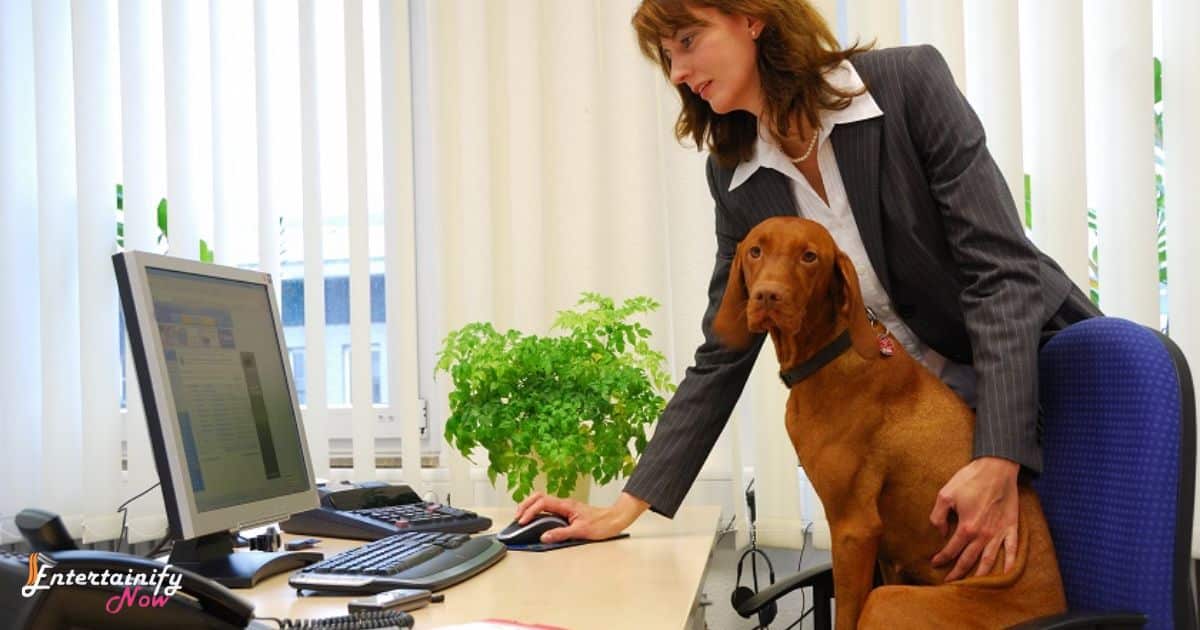 How To Entertain Your Dog While At Work