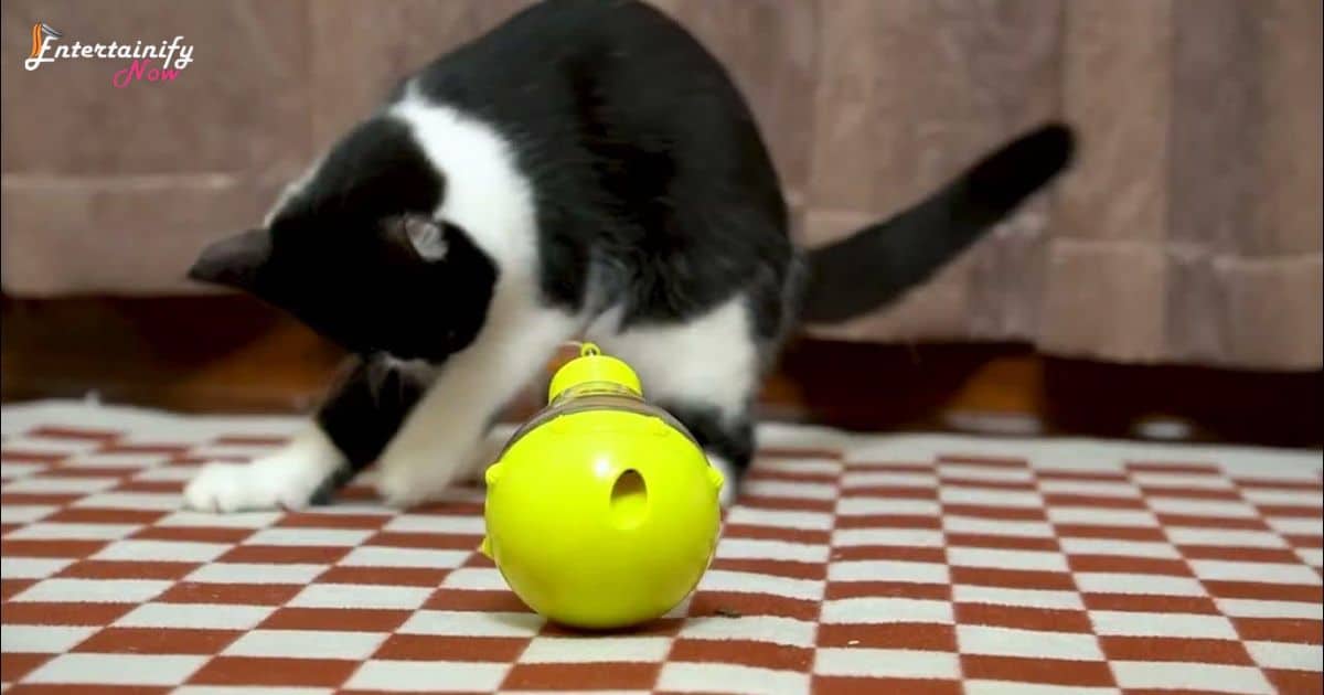 how-to-keep-cats-entertained-while-at-work-by-interactive-toys-for-mental-stimulation