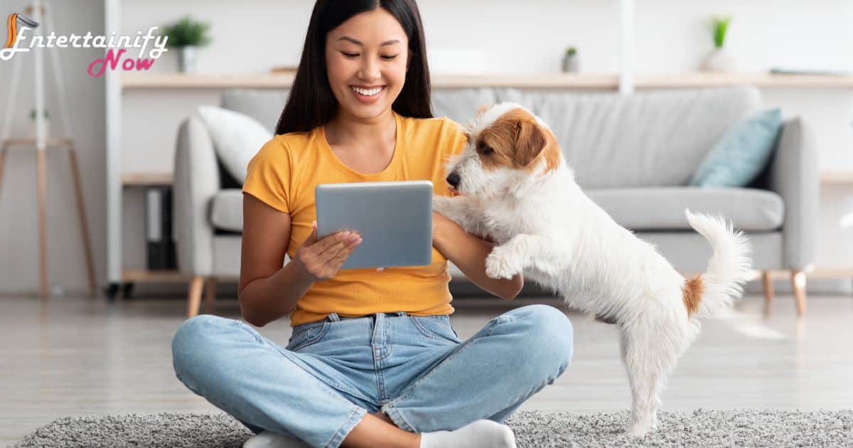 How To Keep Dogs Entertained While Working From Home