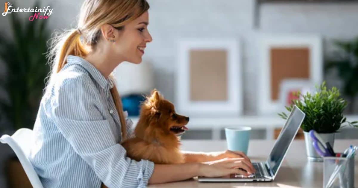How To Entertain Your Dog While Working From Home
