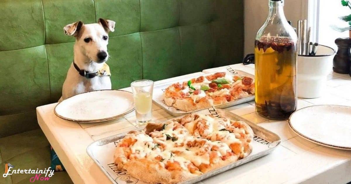 Dog-Friendly Brewery or Store Visit