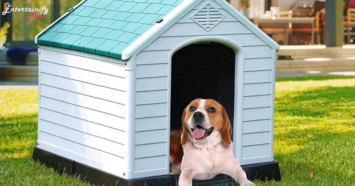 How To Build A Dog Kennel Entertainment Center